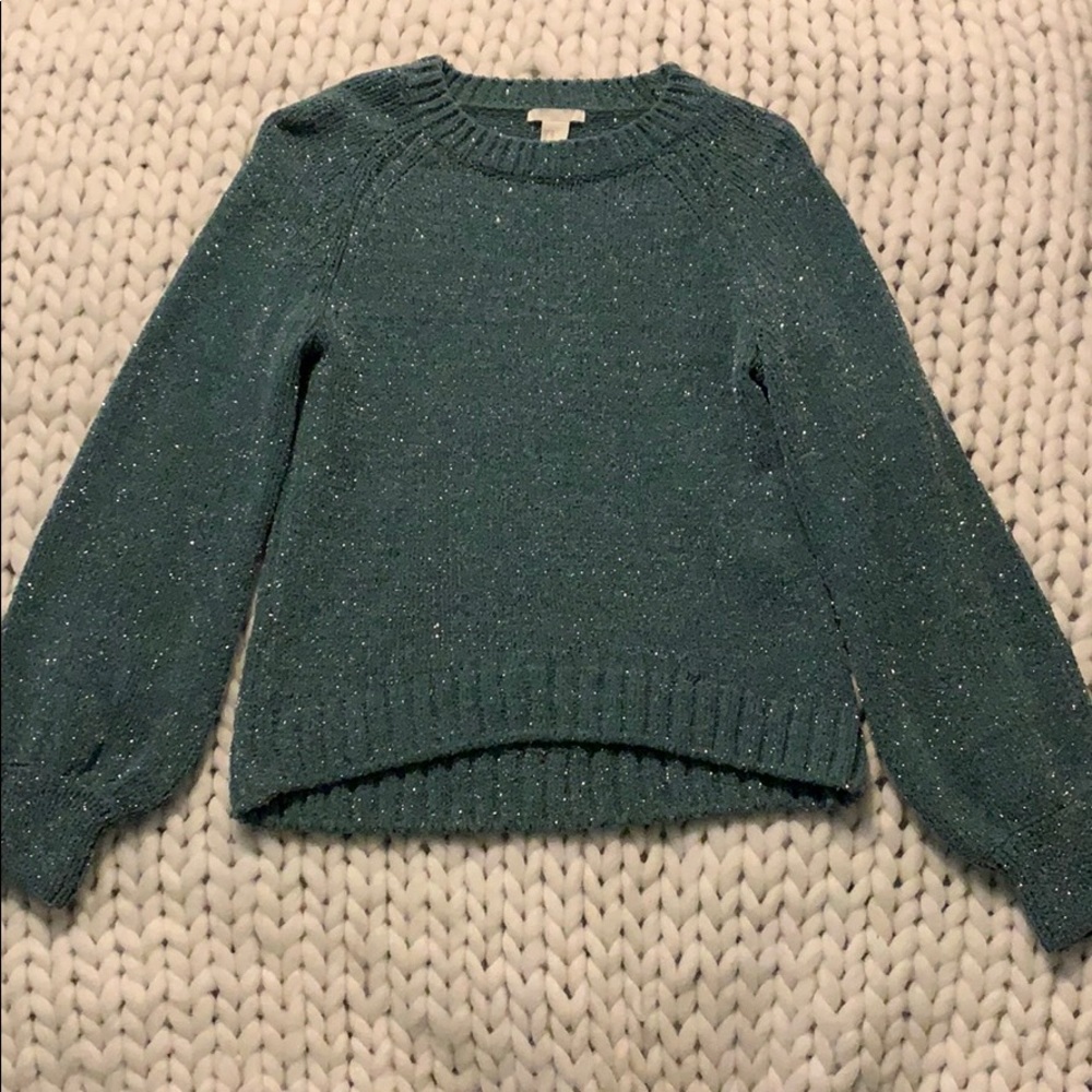 Green and metallic knit sweater.